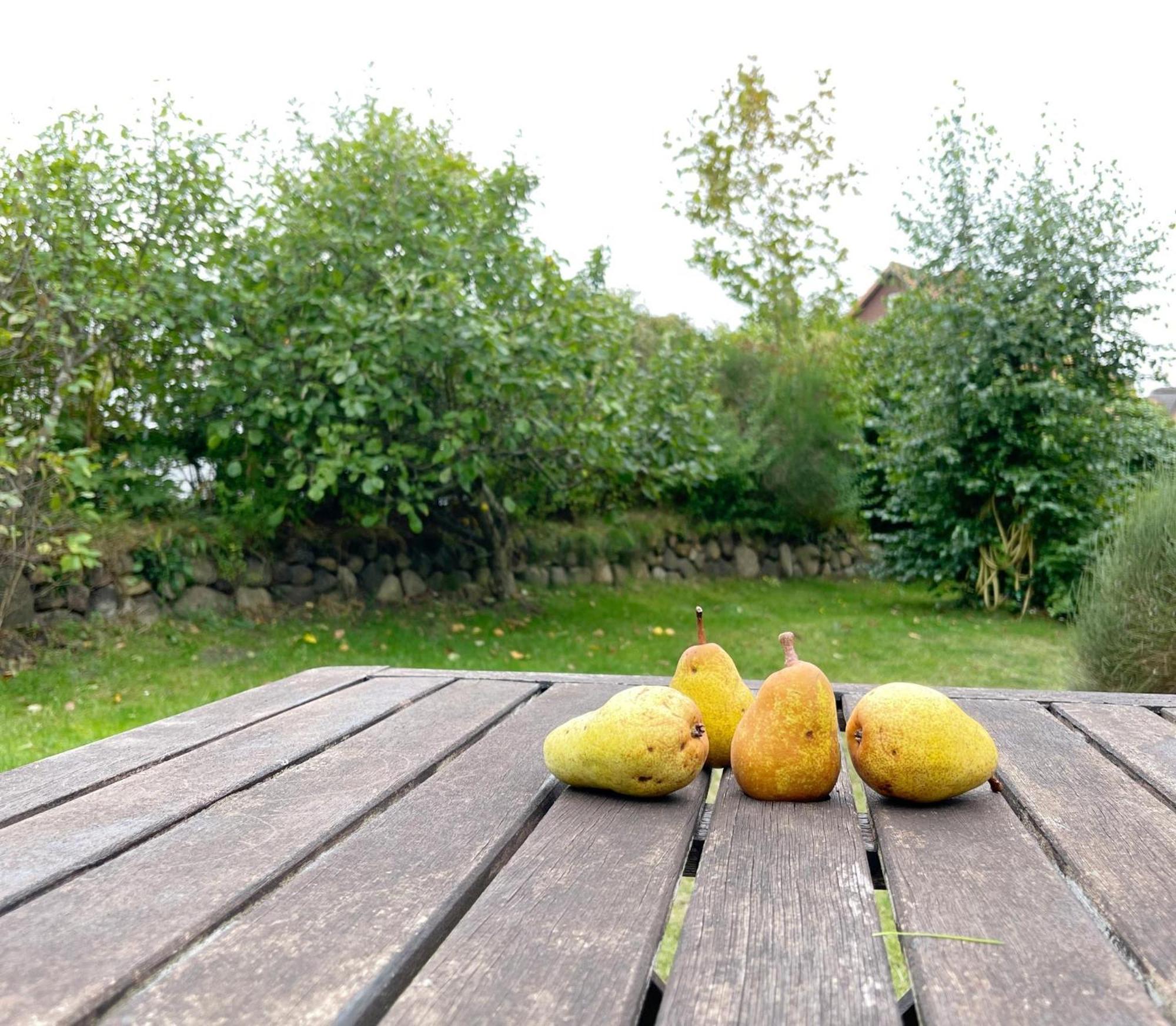 Haus Malte Weninngstedt App 1 Wenningstedt-Braderup Bagian luar foto
